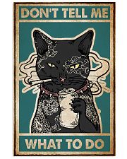 Cat Don't Tell Me Poster 16x24 Poster front