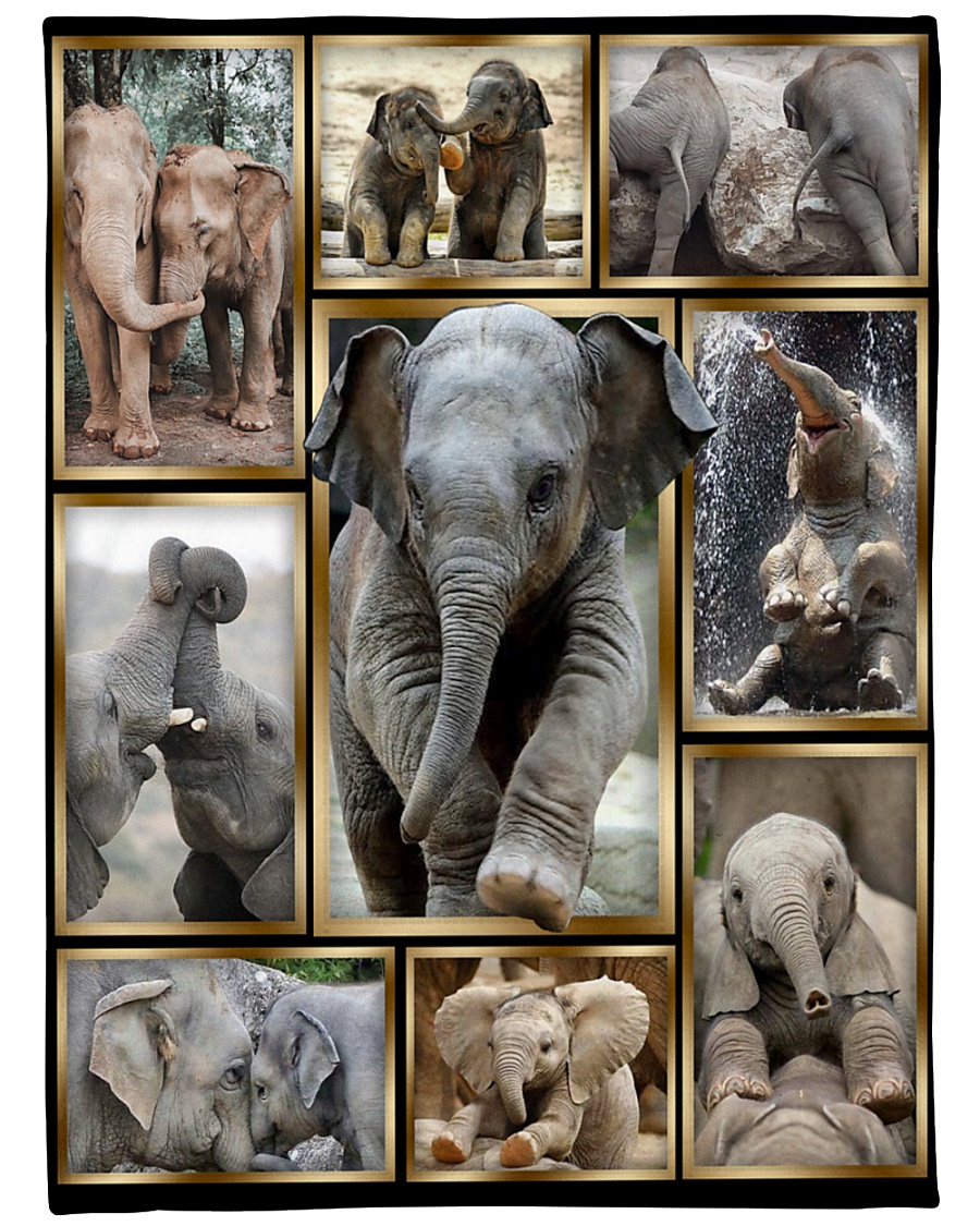 Elephant Funny Beauty Graphic Design Large Fleece Blanket - 60" x 80"