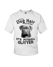 Pitbull This Is Not Dog Hair On My Shirt Youth T-Shirt tile