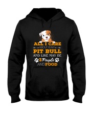 Pit Bull- All I Care Hooded Sweatshirt front
