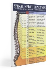 spine nerve function dvhd ngt ads Gallery Wrapped Canvas Prints tile