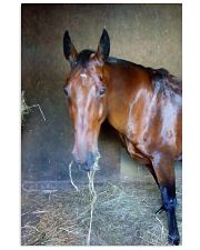 Beautiful horse 11x17 Poster front