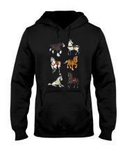 Princess Horses Hooded Sweatshirt tile