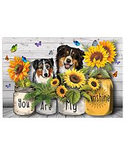Australian Shepherd Poster 36x24 Poster front
