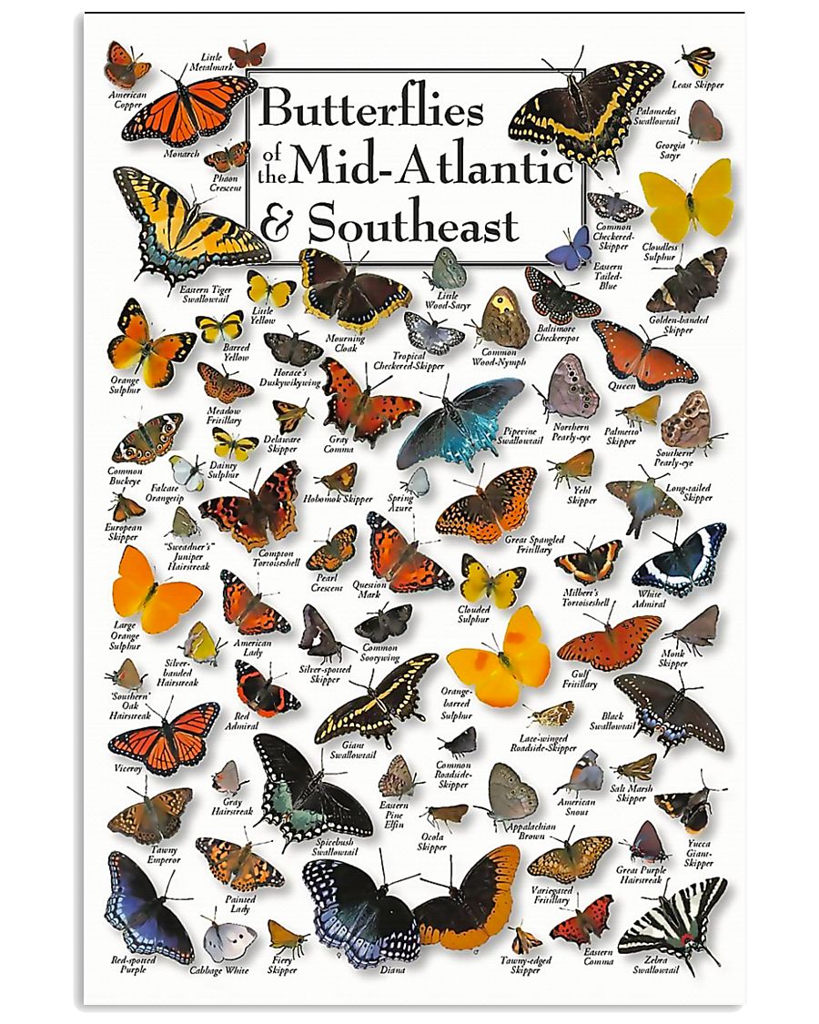 BUTTERFLIES OF MID-ATLANTIC - SOUTHEAST 11x17 Poster