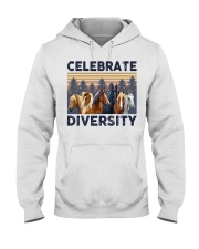 Horse Celebrate Diversity Hooded Sweatshirt front