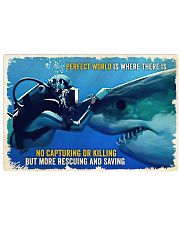 Shark 36x24 Poster front