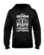 Limited Edition Hooded Sweatshirt thumbnail