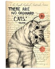 There is no ordinary cat 11x17 Poster front