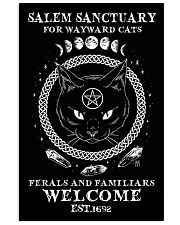 Salem sanctuary 11x17 Poster front