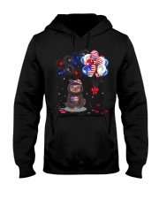 Independence Day balloons Hooded Sweatshirt tile
