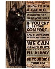 I'm just a cat 11x17 Poster front