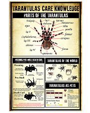 Tarantula Care Knowledge 11x17 Poster front
