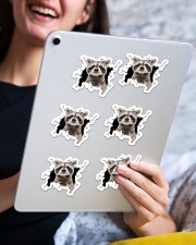raccoon crack sticker Sticker - 6 pack (Horizontal) aos-sticker-6-pack-horizontal-lifestyle-front-12