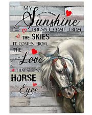 horse sunshine poster ttb DVH 24x36 Poster front