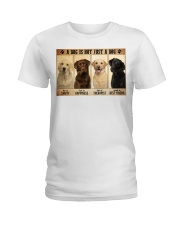 Labrador not just a dog pt phq dqh Ladies T-Shirt tile