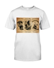 aikido its not a phase pt mttn NTH Premium Fit Mens Tee tile
