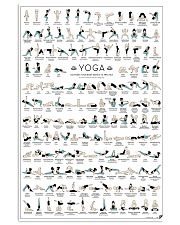 yoga-pose-poster 11x17 Poster thumbnail