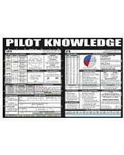 Pilot VFR IFR pt 1 lqt-ngt 36x24 Poster front