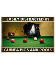 guinea pigs pools easily distracted pt phq pml 24x16 Poster front