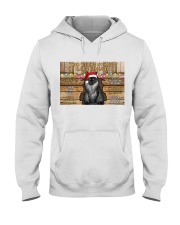 maine-coon-house-rules-xmas-edition-ttb-nna Hooded Sweatshirt tile