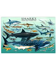 shark many pt lqt DVH 24x16 Poster front