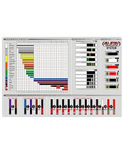 jiu jitsu belts pt lqt pml Horizontal Poster tile