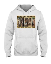 Horse not just a horse pt lqt-ngt Hooded Sweatshirt tile