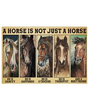 Horse not just a horse pt lqt-ngt 24x16 Poster front