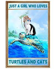 Cats and Turtles Poster 16x24 Poster front