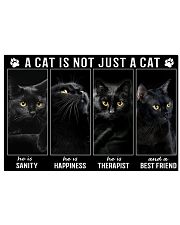 LIMITED EDITION - CAT LOVERS 90013A 17x11 Poster front