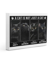 LIMITED EDITION - CAT LOVERS 90013A Gallery Wrapped Canvas Prints tile