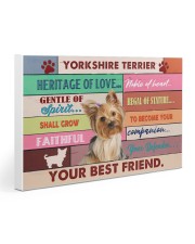 LIMITED EDITION - DOG YORKSHIRE 11003A Gallery Wrapped Canvas Prints tile