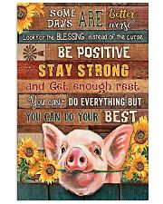 LIMITED EDITION - FUNNY PIG 90143A 11x17 Poster front
