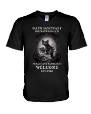 LIMITED EDITION - CAT LOVERS 10668A V-Neck T-Shirt tile