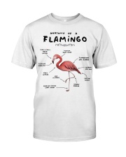 LIMITED EDITION Classic T-Shirt front