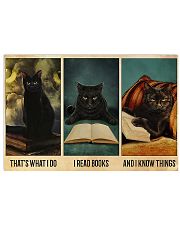 LIMITED EDITION - MY CAT - POS11265TU 17x11 Poster front