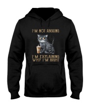 LIMITED EDITION - CAT LOVERS 9820A Hooded Sweatshirt tile