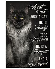 LIMITED EDITION - CAT MAINE COON LOVERS 10945A 11x17 Poster front
