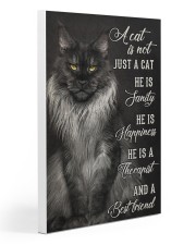 LIMITED EDITION - CAT MAINE COON LOVERS 10945A Gallery Wrapped Canvas Prints tile