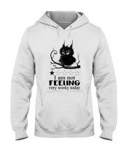 LIMITED EDITION - 9774A Hooded Sweatshirt tile