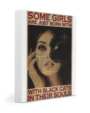 LIMITED EDITION - CAT LOVERS 90056A Gallery Wrapped Canvas Prints tile