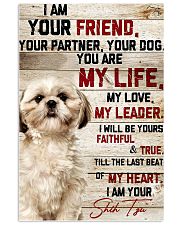 LIMITED EDITION - DOG SHIH TZU LOVERS 10976A 11x17 Poster front
