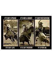 LIMITED EDITION - BULL RIDING 11063TU 17x11 Poster front