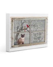 LIMITED EDITION - CAT SIAMESE LOVERS 10880A Gallery Wrapped Canvas Prints tile
