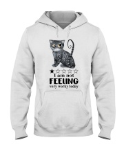 LIMITED EDITION - CAT LOVERS - 10746A Hooded Sweatshirt tile