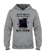 LIMITED EDITION - T SHIRT 10646A Hooded Sweatshirt tile