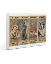 LIMITED EDITION - FARMER RABIT LOVERS - 80203P Gallery Wrapped Canvas Prints tile