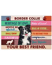 LIMITED EDITION - DOG BORDER COLLIE 11004A 17x11 Poster front