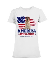 LIMITED EDITION - GOLDEN RETRIEVER FLAG - 9265P Premium Fit Ladies Tee tile